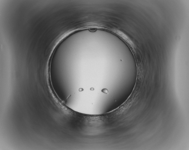 X0000116421431200912081455