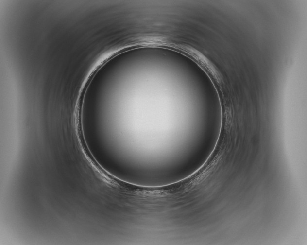 X0000116421432200912081455