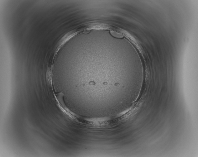 X0000116421433200912081455