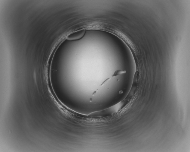 X0000116421434200912081455
