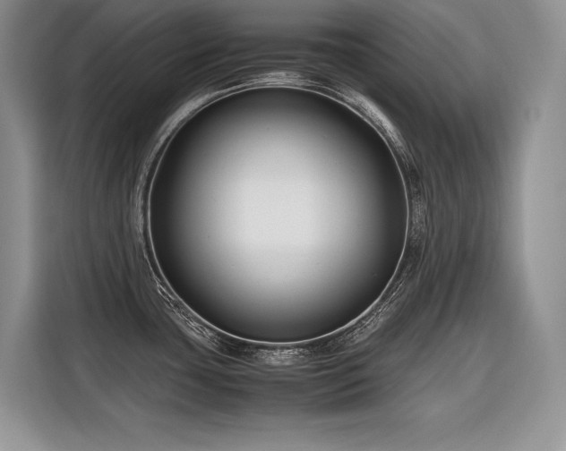 X0000116421435200912081455