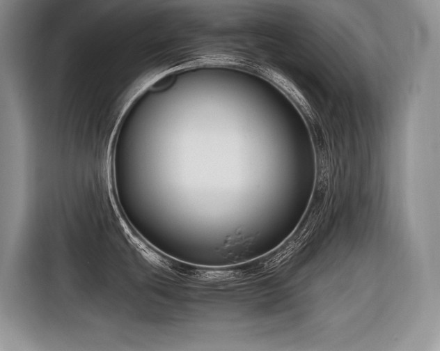 X0000116421439200912081455
