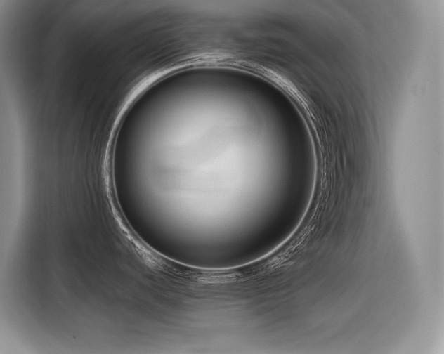X0000116421440200912081455