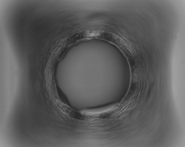 X0000116421441200912081454