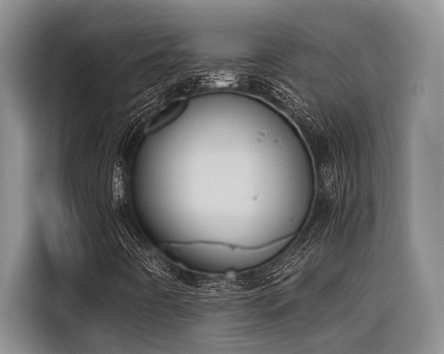 X0000116421442200912081454