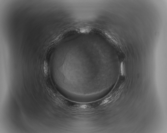 X0000116421443200912081454