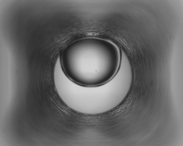 X0000116421444200912081454