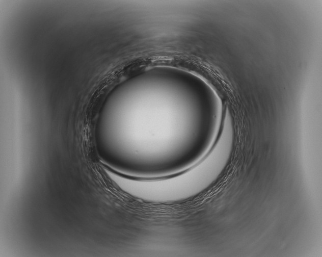 X0000116421445200912081454