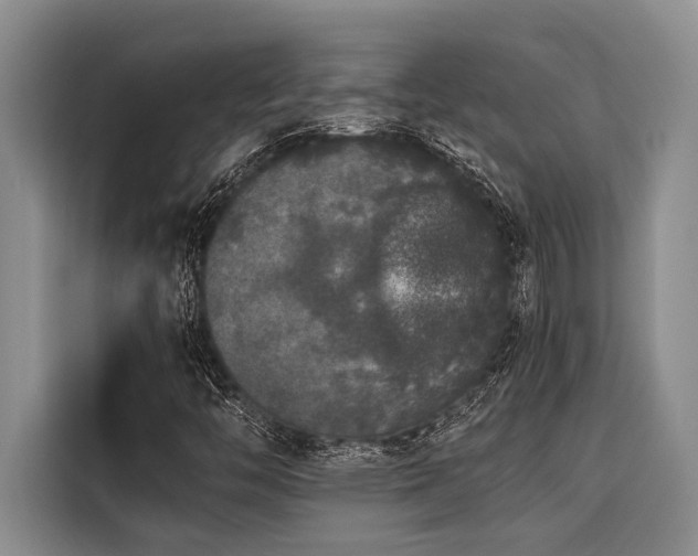 X0000116421446200912081454