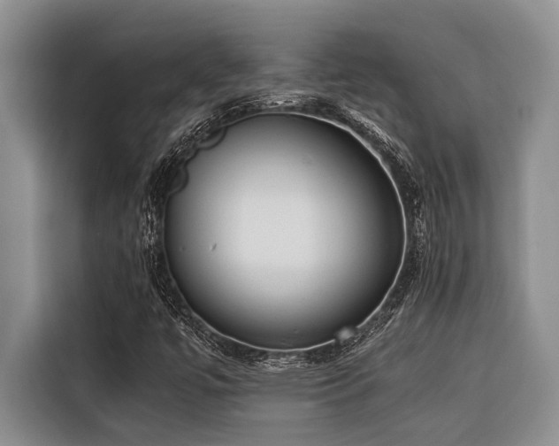 X0000116421447200912081454