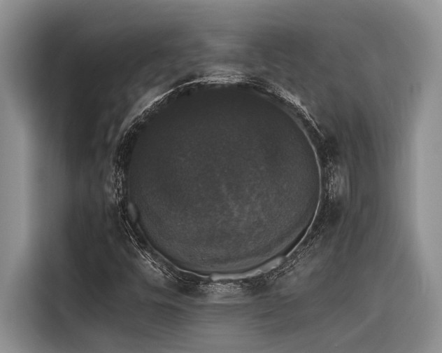 X0000116421448200912081454
