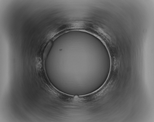 X0000116421449200912081454