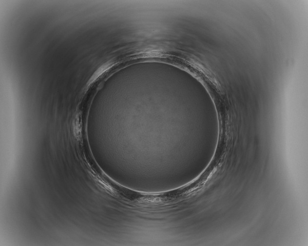 X0000116421450200912081454