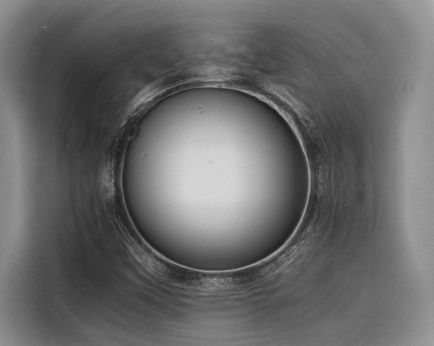 X0000116421451200912081454