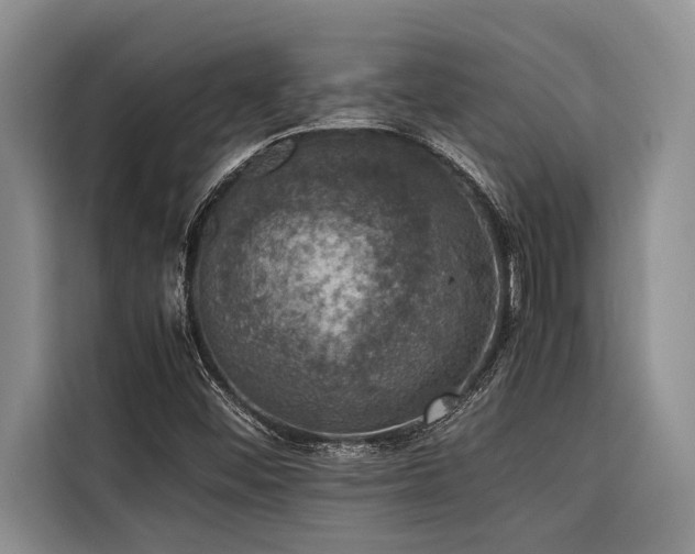 X0000116421452200912081454