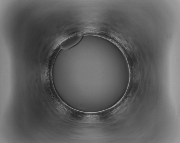 X0000116421453200912081454