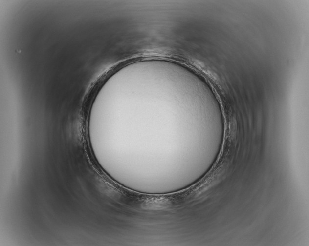 X0000116421454200912081454