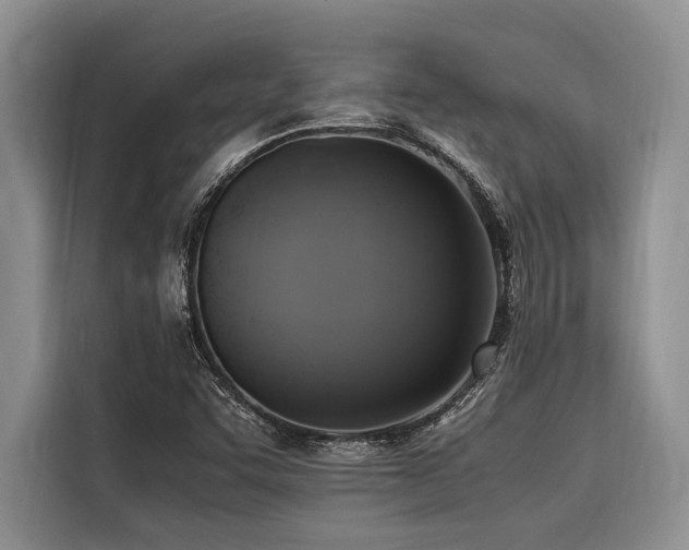 X0000116421455200912081454