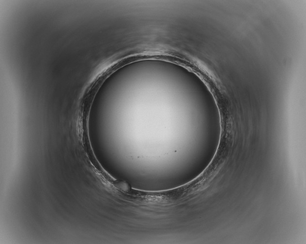 X0000116421456200912081454