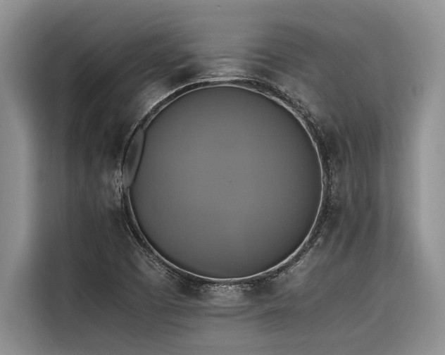 X0000116421457200912081454