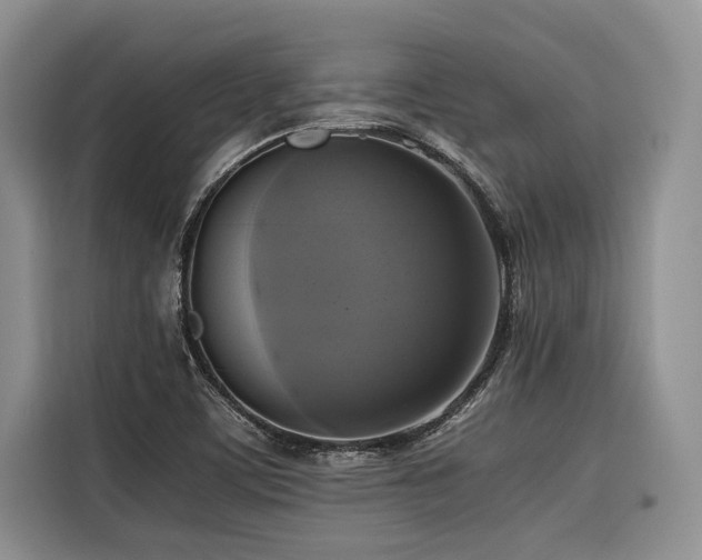 X0000116421459200912081454