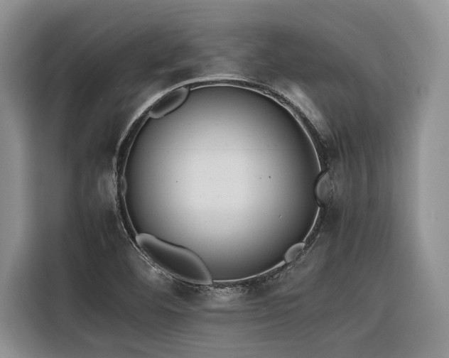 X0000116421460200912081454