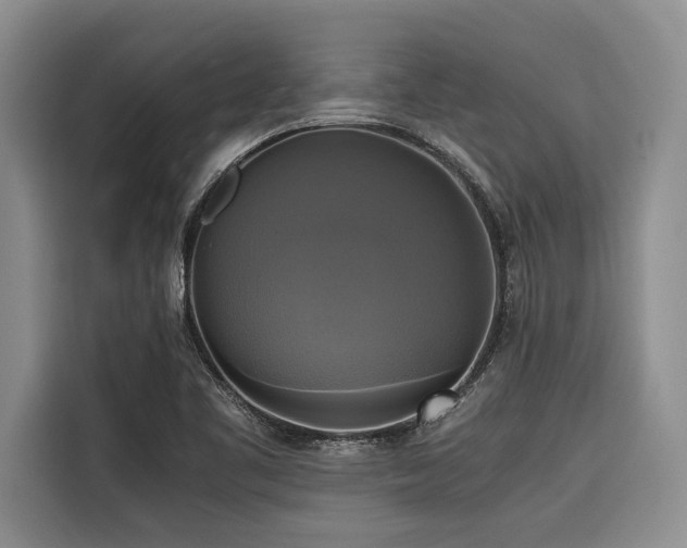 X0000116421461200912081454