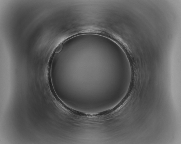 X0000116421463200912081454
