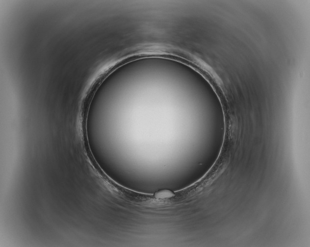 X0000116421464200912081454