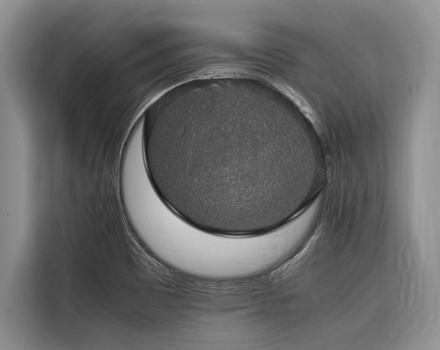 X0000116421465200912081454