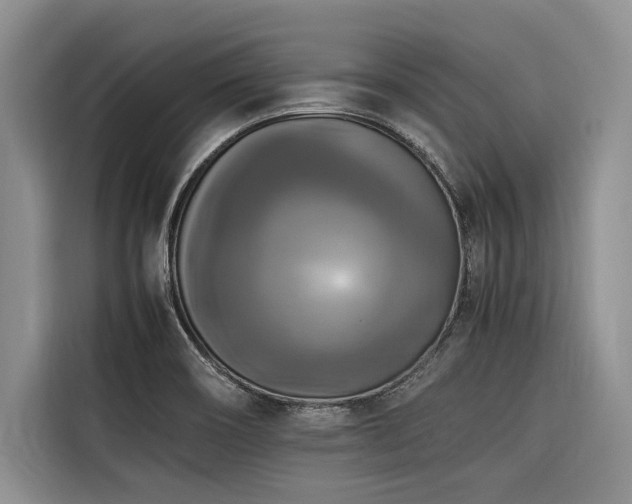 X0000116421466200912081454