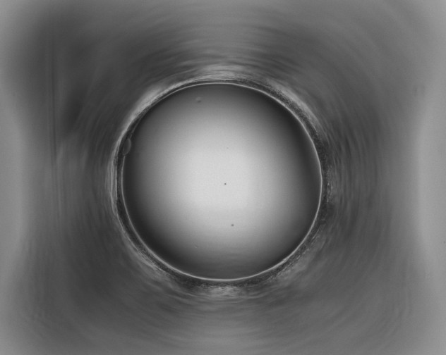 X0000116421467200912081454