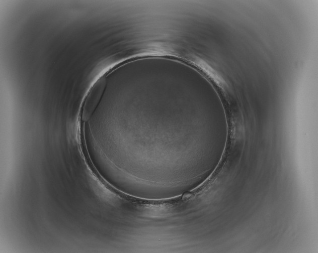 X0000116421468200912081454