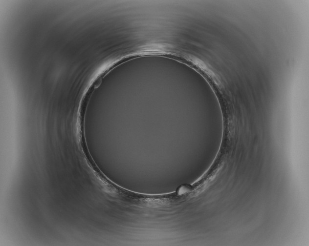 X0000116421469200912081454