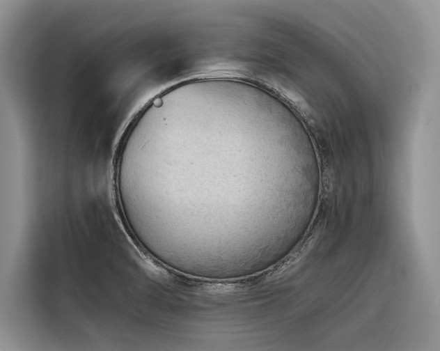 X0000116421470200912081454
