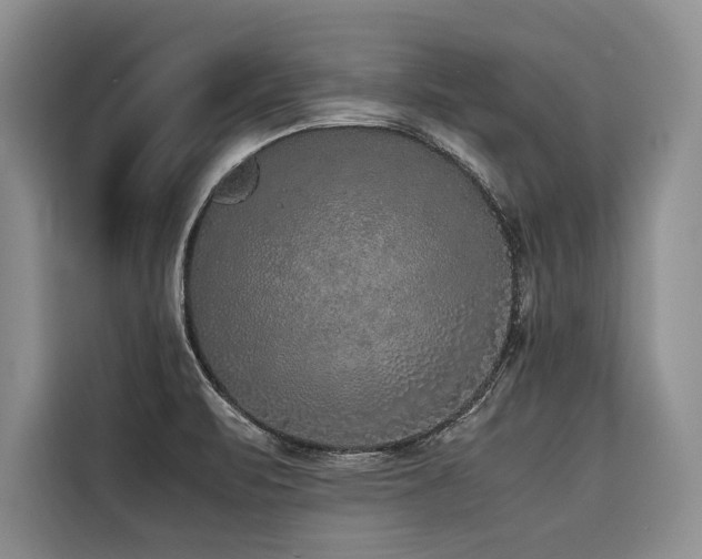 X0000116421471200912081454