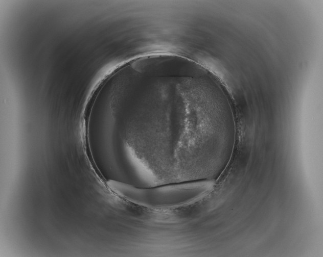 X0000116421472200912081454