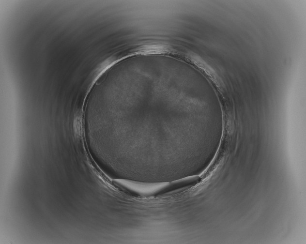 X0000116421473200912081454