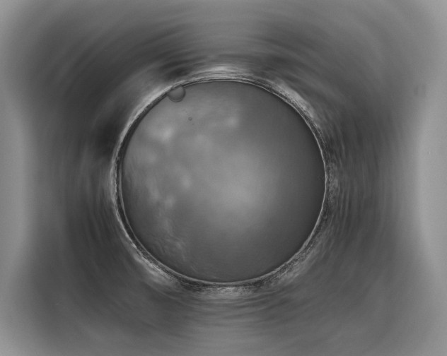 X0000116421474200912081454