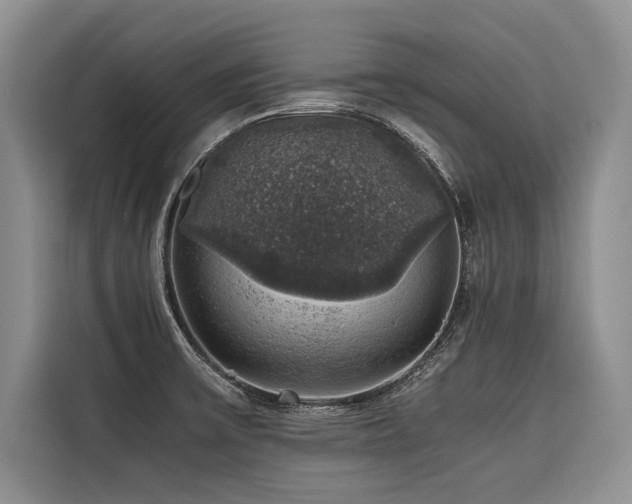 X0000116421475200912081454