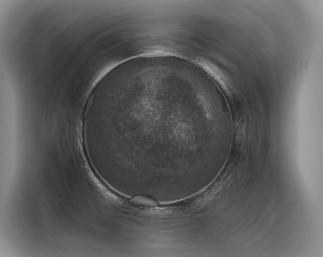 X0000116421476200912081454