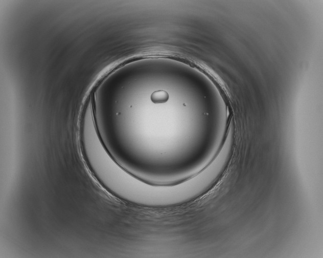 X0000116421477200912081454