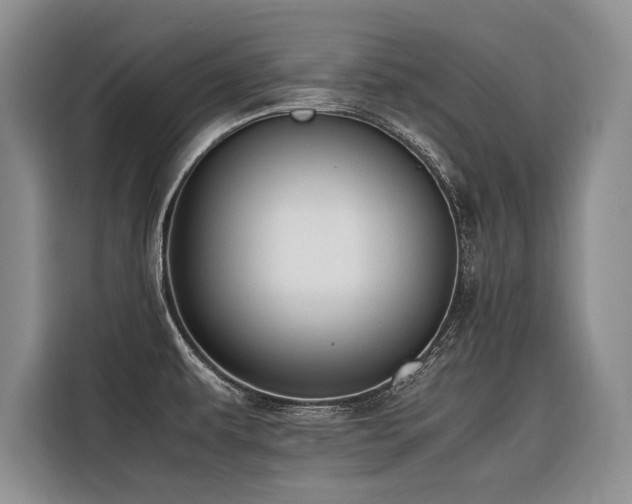 X0000116421479200912081454