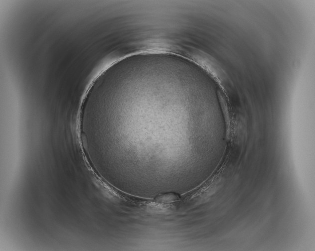 X0000116421480200912081454