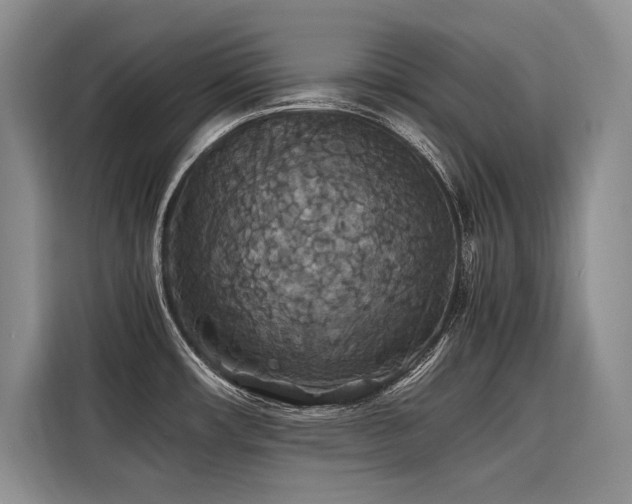 X0000116421482200912081454