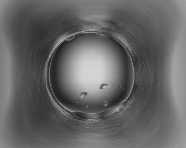 X0000116421483200912081454