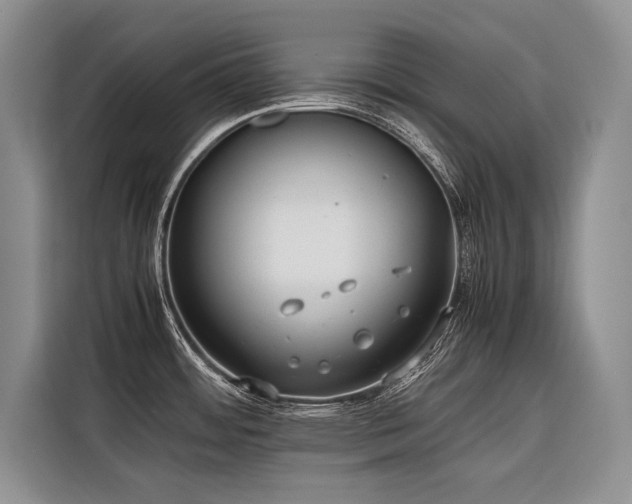 X0000116421484200912081454