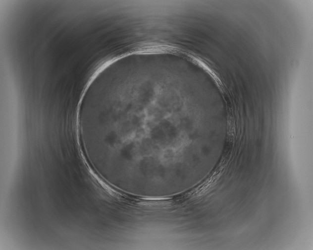 X0000116421487200912081454