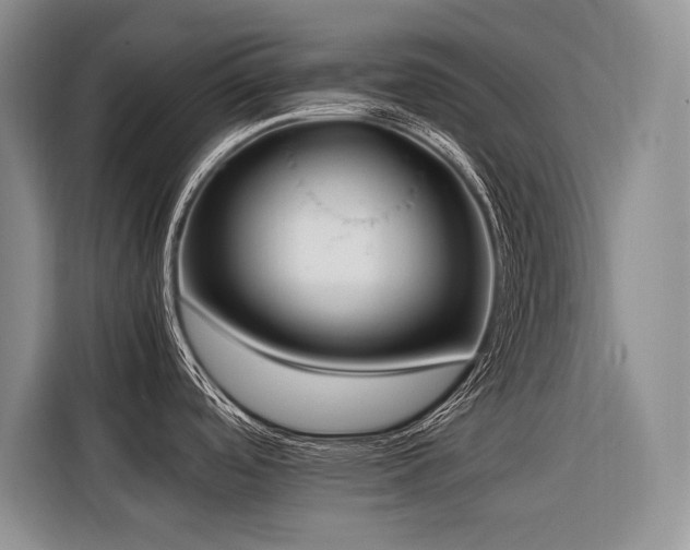 X0000116421488200912081454