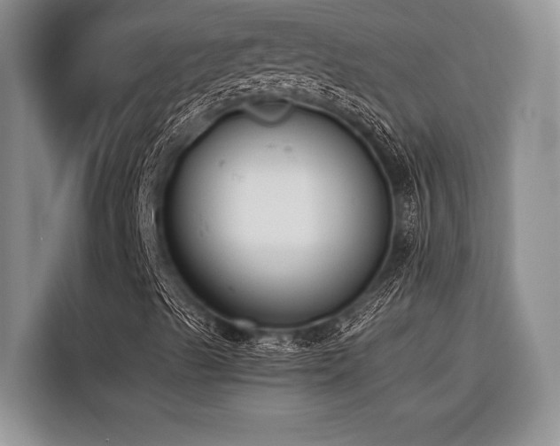 X0000116421489200912081453